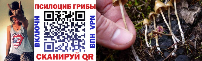 blacksprut   Емва  Галлюциногенные грибы MAGIC MUSHROOMS 